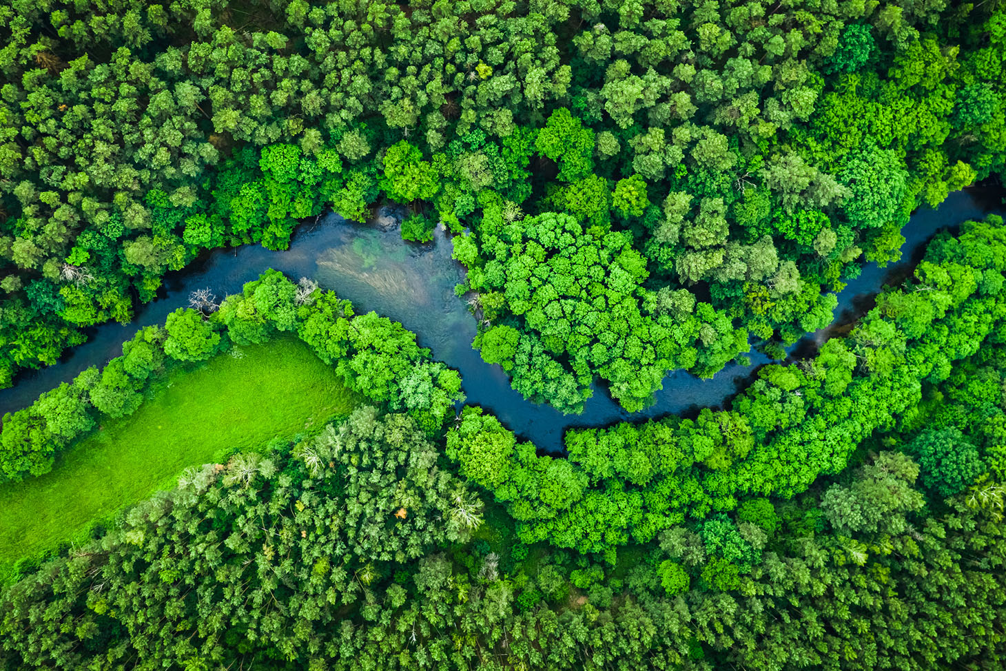 aerial forest river green