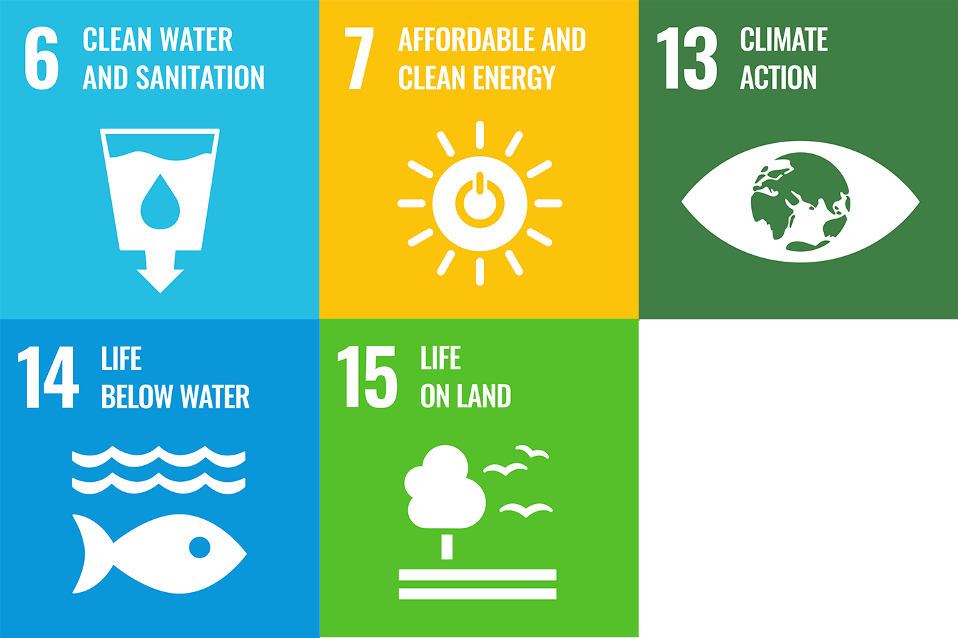 Five of the UN SDG Goals; clean water and sanitation, affordable and client energy, climate action, life below water, life on land.