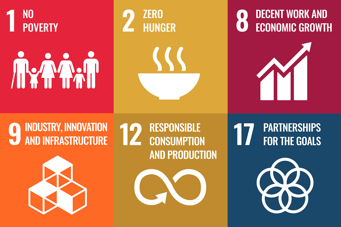 Six of the UN SDG Goals; no poverty, zero hunger, decent work and economic growth, industry, innovation and infrastructure, responsible consumption and production, partnerships for the goals.