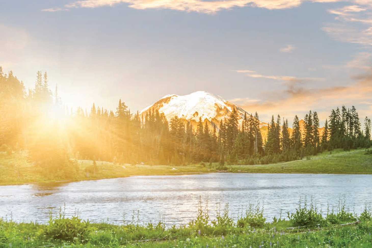 sunrise forest