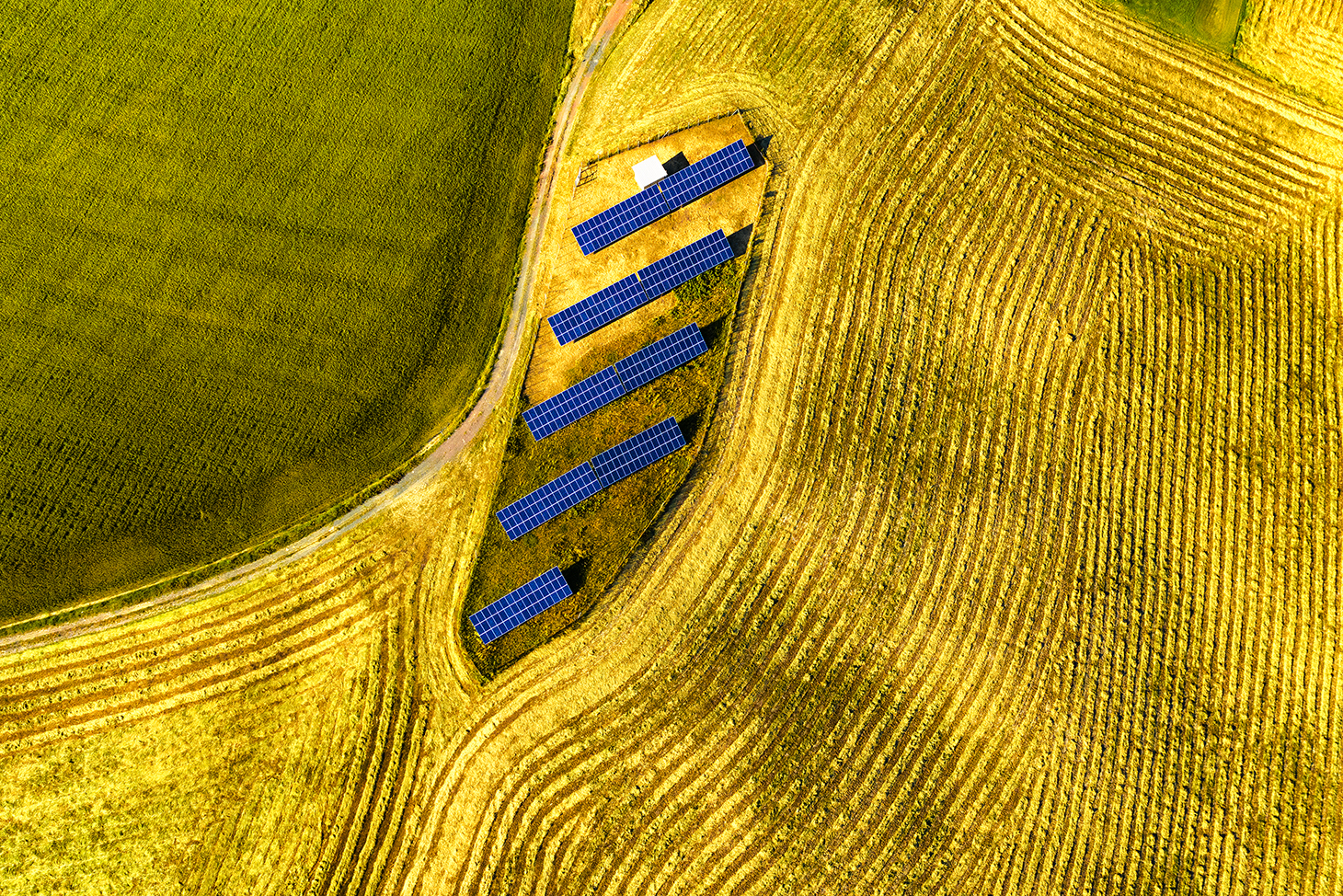 green fields solar panels
